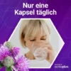 Activplus Mariendistel + Artischocke + Löwenzahn 120 Kapseln