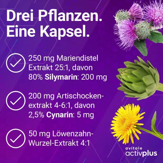 Activplus Mariendistel + Artischocke + Löwenzahn 120 Kapseln
