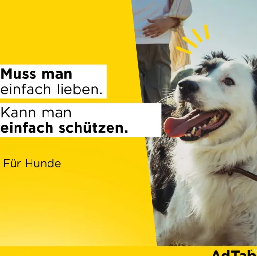 AdTab 900 mg für sehr große Hunde (22-45 kg) 3 Kautabletten