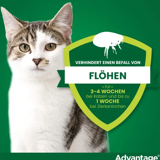 Advantage 40 mg für Katzen und Zierkaninchen bis 4 kg 4 x 0,4 ml Lösung