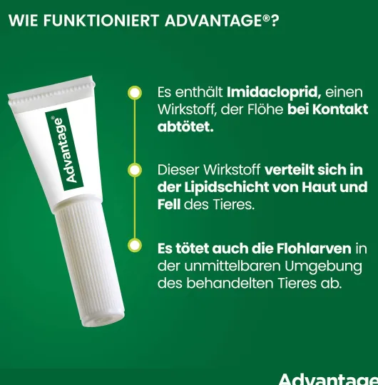 Advantage 40 mg für Katzen und Zierkaninchen bis 4 kg 4 x 0,4 ml Lösung