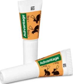 Advantage 40 mg für Katzen und Zierkaninchen bis 4 kg 4 x 0,4 ml Lösung