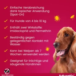 Advantix Spot-On Hund 4-10 kg 4 x 1 ml Lösung