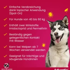 Advantix Spot-On Hund 40-60 kg 4 x 6 ml Lösung
