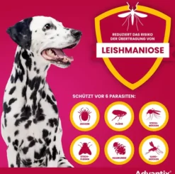 Advantix Spot-On Hund 40-60 kg 4 x 6 ml Lösung