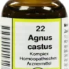 Agnus Castus Komplex Nr. 22 20 ml Dilution
