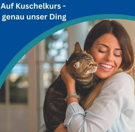 Amflee Combo 50 mg - 60 mg Spot-On Lösung Für Katzen 3 Stück