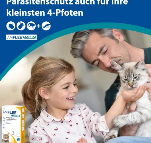 Amflee Combo 50 mg - 60 mg Spot-On Lösung Für Katzen 3 Stück
