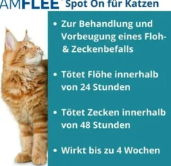 Amflee 50 mg Spot-On Lösung Für Katzen 3 Stück