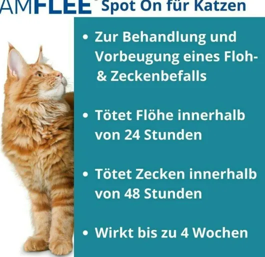 Amflee 50 mg Spot-On Lösung Für Katzen 3 Stück