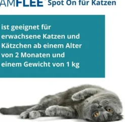 Amflee 50 mg Spot-On Lösung Für Katzen 3 Stück