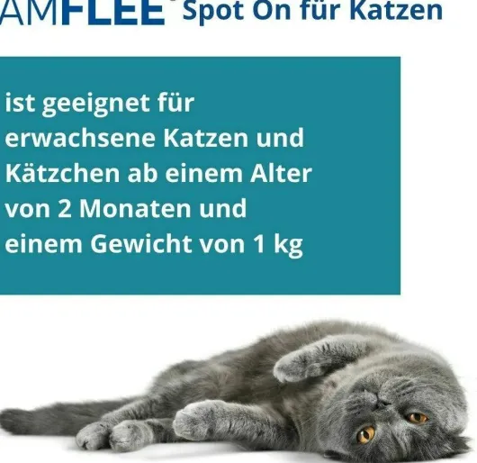Amflee 50 mg Spot-On Lösung Für Katzen 3 Stück
