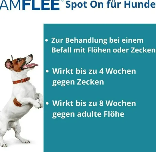 Amflee 134 mg Spot-On Lösung Für Mittelgroße Hunde 10 - 20 KG 3...