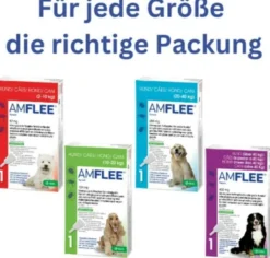 Amflee 134 mg Spot-On Lösung Für Mittelgroße Hunde 10 - 20 KG 3...