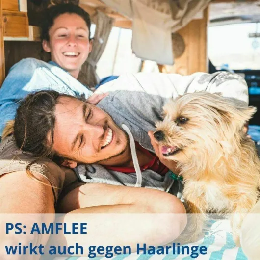 Amflee 134 mg Spot-On Lösung Für Mittelgroße Hunde 10 - 20 KG 3...
