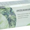 Angelikawurzel Tee Filterbeutel