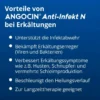 Angocin Anti-Infekt N 240 Filmtabletten