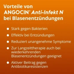 Angocin Anti-Infekt N 240 Filmtabletten