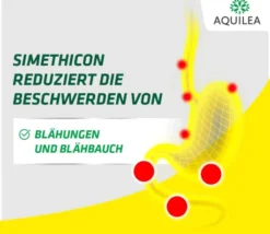 Aquilea Verdauung Total Pulver zum Einnehmen 12 X 2 G