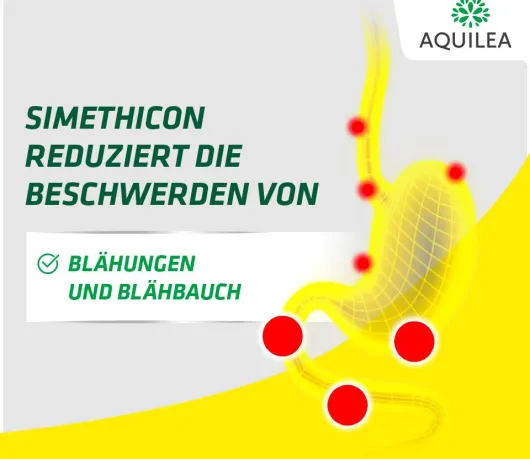 Aquilea Verdauung Total Pulver zum Einnehmen 12 X 2 G