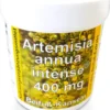 Artemisia Annua Intense 400 90 Kapseln