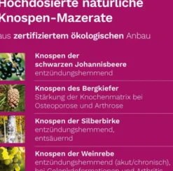 Arthro Plus Dr.Koll Gemmo Kompl.Weinrebe Zink Tropfen 50ml