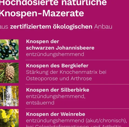 Arthro Plus Dr.Koll Gemmo Kompl.Weinrebe Zink Tropfen 50ml