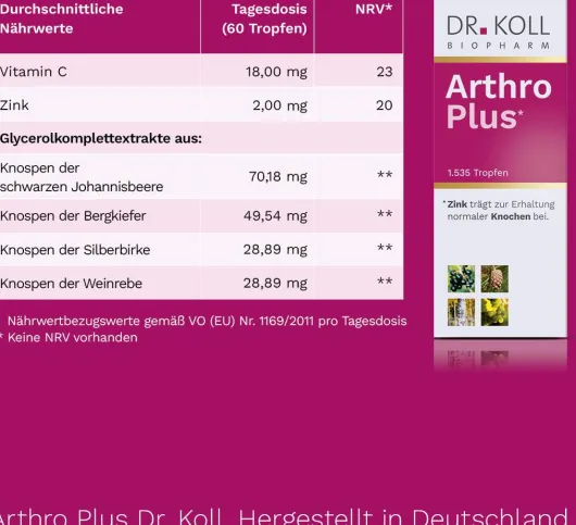 Arthro Plus Dr.Koll Gemmo Kompl.Weinrebe Zink Tropfen 50ml