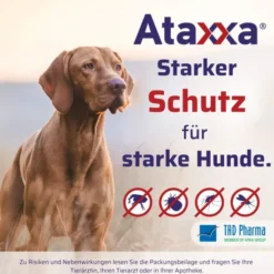 Ataxxa 500 mg-100 mg Lösung zum Auftropfen für Hunde von 4-10 kg 3 Pipetten