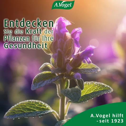 A.Vogel Menosan Salvia Tabletten 30 Stück