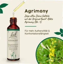 Bachblüten Agrimony 20 ml Tropfen