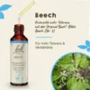 Bachblüten Beech 20 ml Tropfen