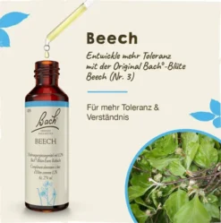 Bachblüten Beech 20 ml Tropfen