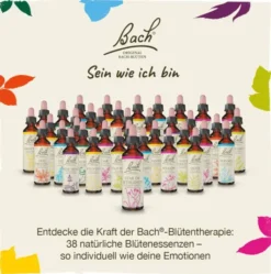 Bachblüten Cerato 20 ml Tropfen