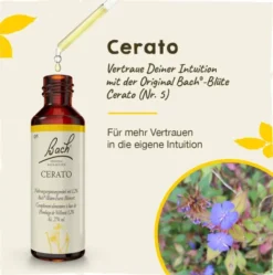 Bachblüten Cerato 20 ml Tropfen