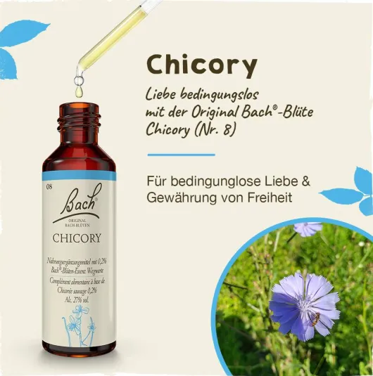 Bachblüten Chicory 20 ml Tropfen