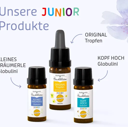 Bachblüten Kinder Kleines Träumerle 10 G Globulini Nach Dr.Bach