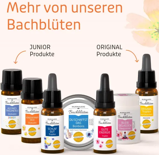 Bachblüten Konzentrier Dich 10 G Globulini