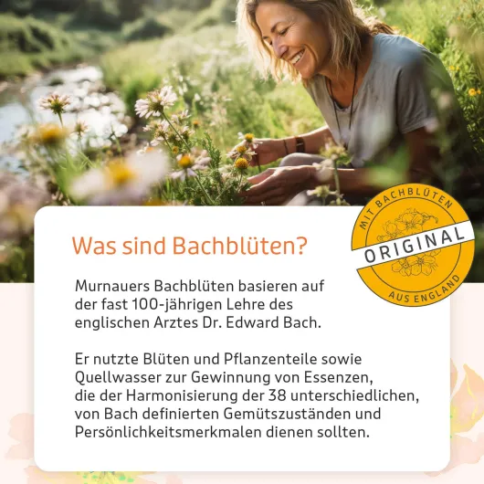 Bachblüten Konzentrier Dich 10 G Globulini