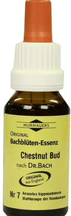Bachblüten Murnauer Chestnut Bud 20 ml Tropfen