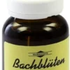 Bachblüten Murnauer Mustard 20 ml Tropfen
