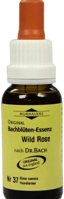 Bachblüten Murnauer Wild Rose 20 ml Tropfen