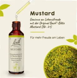 Bachblüten Mustard 20 ml Tropfen