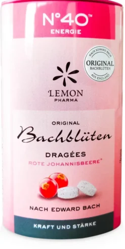 Bachblüten No. 40 Energie 21 G Dragees
