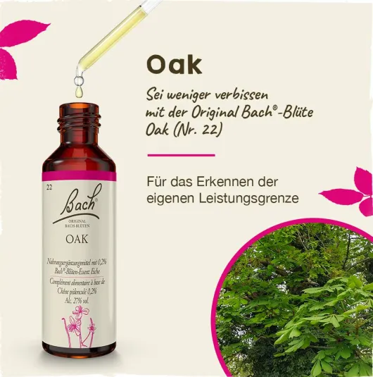 Bachblüten Oak 20ml Tropfen