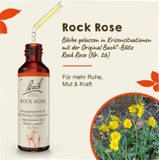 Bachblüten Rock Rose 20 ml Tropfen