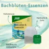 Bachblüten Tee Motivation & Zuversicht Bio Salus 15 Filterbeutel
