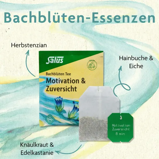Bachblüten Tee Motivation & Zuversicht Bio Salus 15 Filterbeutel