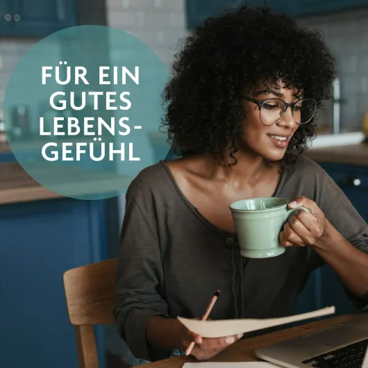 Bachblüten Tee Motivation & Zuversicht Bio Salus 15 Filterbeutel