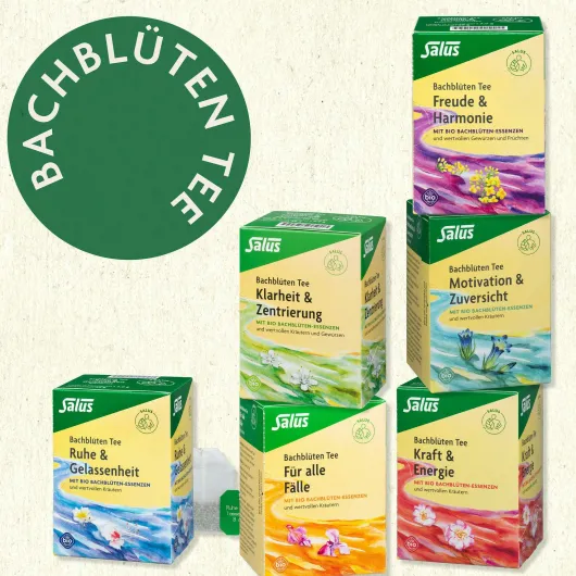Bachblüten Tee Motivation & Zuversicht Bio Salus 15 Filterbeutel